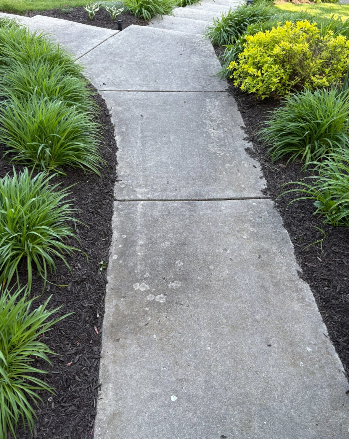 Deck cleaning example